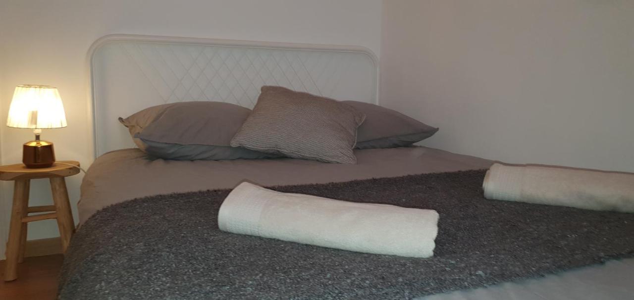 Santocha : Appartement En Plein Coeur De Ville ! Carcassonne Exterior foto